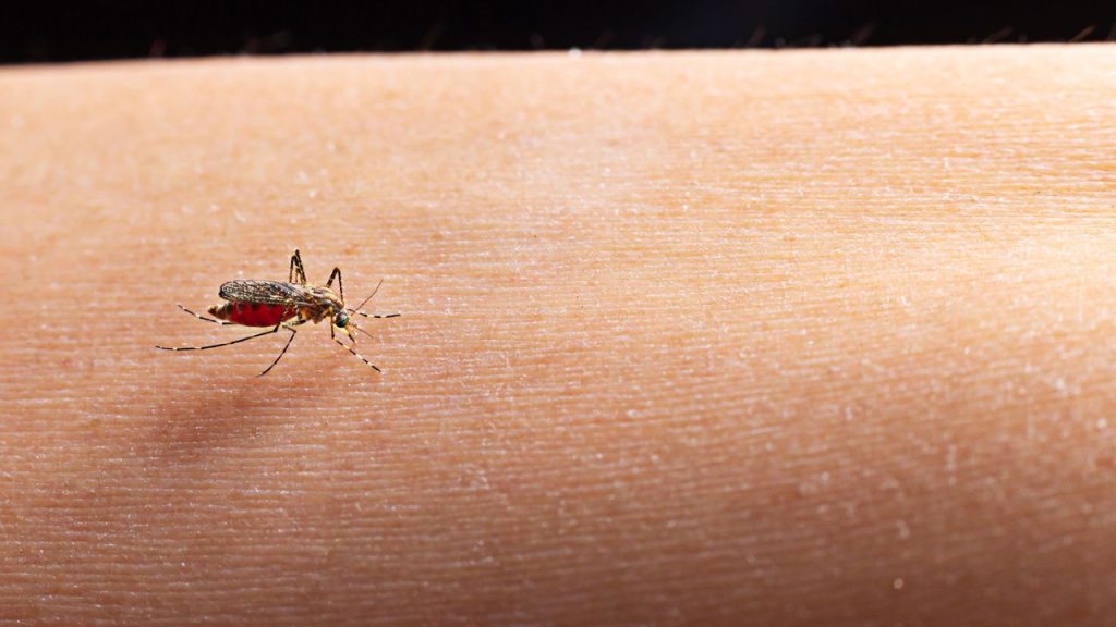 tecnologia de drones e prevencao de zika e chikungunya