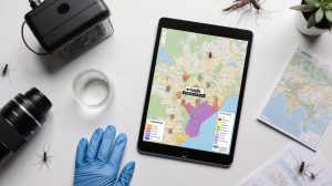 Como Transformar Alertas Geoespaciais em Planos de Ação contra a Dengue